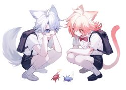 Rule 34 | 2boys, aged down, animal ears, antenna hair, arm tattoo, beetle, black shoes, black shorts, blonde hair, blue eyes, bow, braid, bug, cat boy, cat ears, cat tail, dog boy, dog ears, dog tail, gradient hair, hair between eyes, hashtag-only commentary, highres, honkai: star rail, honkai (series), insect, male focus, medium hair, multicolored hair, multiple boys, mydei (honkai: star rail), parted bangs, phainon (honkai: star rail), red bow, red hair, red tattoo, shirt, shoes, short hair, shorts, side braid, simple background, socks, tail, tattoo, tydjd071, white background, white hair, white shirt, white shoes, white socks, yellow eyes