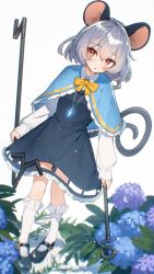 1girl animal_ears black_dress black_shoes blue_capelet blue_flower bow bowtie capelet commission dress flower frilled_capelet frilled_dress frills grey_hair highres holding hydrangea jewelry mouse_ears mouse_girl mouse_tail nazrin necklace oqqn purple_flower red_eyes shoes short_hair skeb_commission sleeves_past_wrists socks solo tail touhou white_socks yellow_bow yellow_bowtie