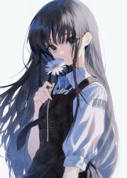 1girl absurdres belt black_dress black_necktie brown_hair closed_mouth collared_shirt commentary dress expressionless flower green_eyes highres holding holding_flower long_hair looking_at_viewer nagamerin natsume_ai necktie pinafore_dress sakura_no_toki sakura_no_uta shirt simple_background sleeveless sleeveless_dress solo three-quarter_sleeves underbust upper_body white_background white_flower white_shirt
