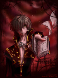 Rule 34 | 1boy, 2000s (style), 2004, black coat, book, brown hair, character name, coat, commentary, cross, cross necklace, english commentary, english text, gold trim, hair between eyes, hair over one eye, highres, holding, holding book, jewelry, long bangs, long sleeves, looking at viewer, male focus, multicolored coat, necklace, orange eyes, parted lips, priest (ragnarok online), ragnarok online, red coat, red sky, short hair, sky, solo, star (sky), starry sky, two-tone coat, upper body, v-shaped eyebrows, yan (y-squared)
