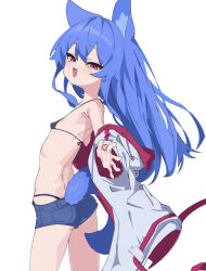 1girl absurdres animal_ear_fluff animal_ears bikini black_bikini blue_hair blue_shorts breasts fox_ears fox_tail hair_between_eyes highres jacket long_hair looking_at_viewer miya_(myakuro) myakuro open_mouth original red_eyes short_shorts shorts simple_background small_breasts solo swimsuit tail white_background white_jacket