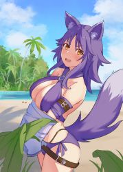 1girl absurdres animal_ear_fluff animal_ears arm_belt beach bikini blush boyin breasts cleavage collarbone criss-cross_halter cygames halterneck highres large_breasts looking_at_viewer makoto_(princess_connect!) makoto_(summer)_(princess_connect!) o-ring o-ring_bikini o-ring_top ocean open_mouth outdoors princess_connect! purple_bikini purple_hair solo swimsuit tail wolf_ears wolf_girl wolf_tail yellow_eyes