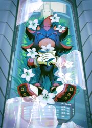 1boy absurdres broken_glass closed_eyes currycheesecake flower full_body furry furry_male glass grass highres holding holding_flower male_focus shadow_the_hedgehog solo sonic_(series) white_flower