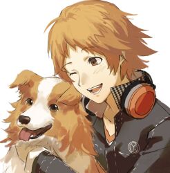 Rule 34 | 1boy, animal, animal hug, australian shepherd, brown hair, dog, hanamura yousuke, headphones, headphones around neck, highres, hug, imicoru, jacket, male focus, one eye closed, open mouth, persona, persona 4, school uniform, simple background, white background, yasogami school uniform
