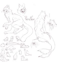 1boy :3 animal cat cat_boy commentary_request fangs highres lineart male_focus merman meziro001 monster_boy multiple_views original simple_background slit_pupils smile tail white_background