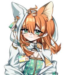 Rule 34 | 1girl, absurdres, ahoge, animal ears, arknights, blush, chinese commentary, closed mouth, commentary request, eyes visible through hair, green eyes, hair between eyes, high collar, highres, hood, hood up, id card, jewelry, looking at viewer, medium hair, minyuan471, nervous, orange hair, papyrus (arknights), simple background, solo, upper body, white background
