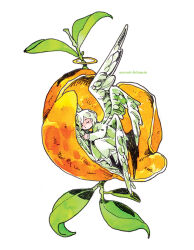 1other androgynous angel angel_wings artist_name closed_eyes curled_up feathered_wings feathers food fruit full_body green_feathers green_pants green_shirt halo ink_(medium) leaf long_sleeves maruti_bitamin multiple_wings orange_(fruit) orange_peel original painting_(medium) pants seraph shirt short_hair simple_background sleeping solo traditional_media watercolor_(medium) white_background white_feathers white_hair white_wings wings yellow_halo