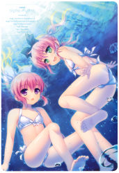 Rule 34 | 2girls, :d, :o, absurdres, alpha (yukai na nakamatachi), barefoot, bikini, bubble, feet, fish, freediving, front-tie top, green eyes, highres, looking at viewer, multiple girls, open mouth, original, pink hair, ponytail, purple eyes, scan, siblings, side-tie bikini bottom, sisters, smile, soles, submerged, swimming, swimsuit, table of contents, takanashi sui, takanashi yui, toes, twins, underwater, water, white bikini