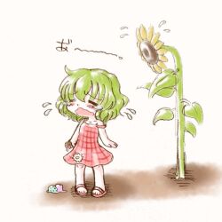 Rule 34 | 1girl, aged down, closed eyes, commentary request, crying, dress, echigo yaya, flower, flower ornament, flying sweatdrops, green hair, kazami yuuka, open mouth, red dress, red shoes, sandals, shoes, short hair, simple background, solo, sunflower, touhou, white background