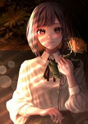Rule 34 | 1girl, belt, bob cut, bow, braid, brown belt, brown eyes, brown hair, brown skirt, buttons, closed mouth, collared shirt, commentary request, dappled sunlight, film grain, flower, hair bow, hand up, highres, holding, holding flower, indoors, long sleeves, looking at viewer, nail polish, nhrg806, orange flower, orange rose, picture frame, project sekai, puffy long sleeves, puffy sleeves, red nails, rose, shinonome ena, shirt, short hair, sidelighting, single braid, skirt, smile, solo, straight-on, sunlight, swept bangs, upper body, white shirt