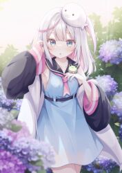 :c belt black_belt black_jacket black_sailor_collar blue_dress blush colored_inner_hair cowboy_shot day dot_nose dress flower frog gomano_rio grey_hair hair_between_eyes hand_in_own_hair highres hydrangea jacket legs_together long_hair long_sleeves multicolored_hair multicolored_jacket necktie off_shoulder one_side_up open_mouth original outdoors pink_flower pink_hair pink_necktie puffy_long_sleeves puffy_sleeves purple_flower raised_eyebrows sailor_collar sailor_dress sidelocks sleeve_cuffs sleeveless sleeveless_dress two-tone_jacket undersized_animal white_jacket