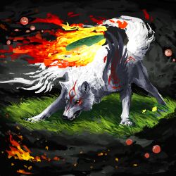 amaterasu_(ookami) animal_focus black_background character_request closed_mouth commentary english_commentary fire flower grass growling highres no_humans ookami_(game) purple_flower red_eyes reflector_(ookami) solo sourful teeth white_wolf wolf yellow_eyes yellow_flower