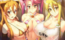3girls bikini blonde_hair breasts brown_eyes brown_hair cleavage covered_erect_nipples elbow_gloves female_focus glasses gloves highschool_of_the_dead huge_breasts long_hair marikawa_shizuka miyamoto_rei multiple_girls pink_hair school_swimsuit see-through_clothes swimsuit takagi_saya tank_top yellow_eyes yn_red
