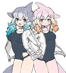 010mzam 2girls bare_legs blowhole blue_eyes blue_hair cetacean_tail chinese_white_dolphin_(kemono_friends) collarbone commentary_request common_bottlenose_dolphin_(kemono_friends) cowboy_shot dolphin_girl dorsal_fin fins fish_tail gradient_hair grey_eyes grey_hair hair_between_eyes head_fins high_collar highres jacket kemono_friends locked_arms long_sleeves looking_at_viewer matching_outfits multicolored_hair multiple_girls one-piece_swimsuit open_clothes open_jacket open_mouth orange_hair pink_hair school_swimsuit short_hair short_twintails sidelocks smile swimsuit tail twintails white_hair white_jacket