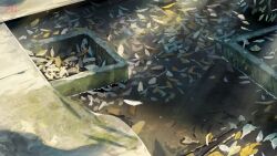Rule 34 | absurdres, artist name, banishment, commentary request, highres, leaf, no humans, original, outdoors, pavement, scenery, shade, signature, water