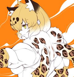 1girl animal_ears blonde_hair breasts elbow_gloves fur_collar gloves highres jaguar_(kemono_friends) jaguar_ears jaguar_girl leopard_print kemono_friends large_breasts multicolored_hair muscular muscular_female notora print_gloves serious shirt short_hair short_sleeves solo yellow_eyes