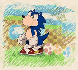 1boy :t animal_ears animal_nose aoki_(fumomo) arms_at_sides blue_fur blue_hair blue_sky body_fur border clenched_hands closed_mouth cloud day egg full_body furry furry_male fusion gloves grass green_eyes japanese_text male_focus mario_(series) nintendo outdoors red_shoes shoes sky socks solo sonic_(series) sonic_the_hedgehog spiked_hair standing tail translation_request white_border white_gloves white_socks yoshi yoshi_egg
