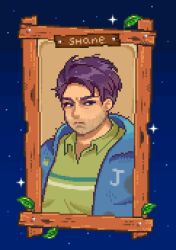 Rule 34 | 1boy, alternate body size, blue eyes, blue jacket, blue sky, character name, closed mouth, collared shirt, commentary, english commentary, facial hair, frown, green shirt, highres, jacket, leaf, looking at viewer, male focus, mimpish, open clothes, open jacket, picture frame, pixel art, portrait, purple hair, shane (stardew valley), shirt, short bangs, sky, solo, star (sky), stardew valley, starry sky, stubble