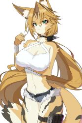 1girl absurdres animal_ears blue_shorts breasts brown_hair cleavage denim denim_shorts furry furry_female green_eyes highres large_breasts long_hair looking_at_viewer midriff navel ponytail pulchra_fellini short_shorts shorts solo tail w.k white_background zenless_zone_zero