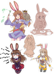 Rule 34 | 10s, 1girl, alternate costume, animal ears, bird, blush, chopsticks, cup, dual persona, closed eyes, food, glasses, han megumi, highres, iesupa, kagari atsuko, little witch academia, owl, plate, pout, rabbit ears, rabbit girl, rabbit tail, rwby, school uniform, sushi, sweatdrop, tail, teacup, velvet scarlatina, voice actor connection