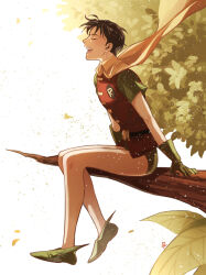 artist_name branch closed_eyes dick_grayson leaves robin_(dc) superhero_costume tagme