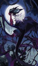 animal_focus artist_name blank_eyes branch commentary facing_back facing_viewer from_behind full_body full_moon gen_6_pokemon glowing glowing_eye highres in_tree kamikiririp moon night night_sky nintendo no_humans noivern outdoors pokemon pokemon_(creature) signature sky solo symbol-only_commentary tail tree twitter_username wings