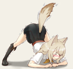 Rule 34 | &gt; &lt;, 1girl, animal ears, arched back, arknights, black boots, blush, boots, closed mouth, dog ears, dog girl, dog tail, grey background, grey hair, highres, holding breath, jack-o&#039; challenge, kuruzusu, neck ribbon, petite, podenco (arknights), ribbon, sash, school uniform, shadow, shaking, simple background, skirt, solo, tail, tail raised, top-down bottom-up