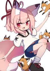 1girl :d ahoge animal animal_ear_fluff animal_ears arm_up black_shoes blue_shorts blush fang fox fox_ears fox_girl fox_tail grey_socks hair_between_eyes hair_ribbon highres knees_together_feet_apart off-shoulder_shirt off_shoulder open_mouth original pink_hair ponytail red_eyes red_ribbon ribbed_socks ribbon saisoku_no_yukkuri shirt shoes short_sleeves shorts simple_background smile socks solo tail v-shaped_eyebrows white_background white_shirt