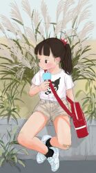 1girl bag bamboo bandaid bandaid_on_knee bandaid_on_leg black_hair food hair_bobbles hair_ornament original palm_tree plant ponytail potted_plant shirt shoes short_sleeves shorts sitting sneakers socks solo tanabata tanzaku tree uni_(unidonatsu)