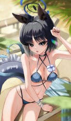 1girl absurdres animal_ears bikini black_eyes black_hair black_nails blue_archive blue_bikini blush breasts cat_ears cat_girl cleavage gang_ryeol heart highres kikyou_(blue_archive) kikyou_(swimsuit)_(blue_archive) looking_at_viewer multiple_tails navel official_alternate_costume open_mouth parted_bangs paw_pose solo sweatdrop swimsuit tail two_tails