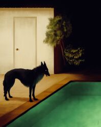 animal animal_focus black_dog black_fur blank_eyes building commentary dappermouth dark dog door ears_back english_commentary glowing green_light highres horror_(theme) night no_humans original outdoors plant pool realistic scenery shadow sharp_teeth standing summer teeth tile_floor tiles tree water white_eyes