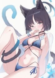 1girl absurdres animal_ears bakeneko bikini black_eyes black_hair black_tail blue_archive blue_bikini blue_halo blue_tail breasts cat_ears cat_girl cat_tail criss-cross_straps gradient_tail halo haori highres japanese_clothes kikyou_(blue_archive) kikyou_(swimsuit)_(blue_archive) layered_bikini looking_at_viewer medium_breasts multiple_tails navel official_alternate_costume poko050498 short_hair solo swimsuit tail two_tails white_haori