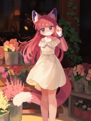 1girl absurdres animal_ear_fluff animal_ears arm_behind_back bare_shoulders belt blunt_bangs body_fur bracelet cat_ears cat_girl cat_tail closed_mouth commentary_request commission dot_mouth dot_nose dress expressionless feet_out_of_frame floating_hair flower furry furry_female gomafuto hand_up highres indoors ivy jewelry lamp leaf long_hair off-shoulder_dress off_shoulder original pink_eyes pink_flower pink_fur pink_hair pink_tulip plant potted_plant shelf skeb_commission solo standing tail tulip white_dress