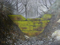 bare_tree forest light mitzoka2001 nature no_humans original shadow snow tree tree_shade trench wall