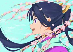 1boy :d absurdres black_hair branch bud cherry_blossoms falling_petals floating_hair forura highres houjou_tokiyuki_(nige_jouzu_no_wakagimi) japanese_clothes kariginu long_hair looking_to_the_side male_focus nige_jouzu_no_wakagimi open_mouth parted_bangs petals pink_petals ponytail profile purple_eyes sidelocks_tied_back sky smile solo teeth trap upper_teeth_only