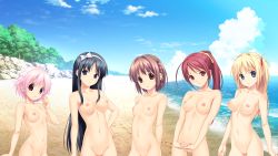 10s 5girls beach black_hair blonde_hair braid breasts brown_eyes brown_hair cloud fukami_nagisa game_cg green_eyes groin hair_ribbon highres kagurazaka_namine kitami_minamo koigakubo_chihaya koutaro lineup loli long_hair looking_at_viewer multiple_girls navel nipples no_pussy nude ocean pink_eyes pink_hair ponytail purple_eyes red_hair ribbon short_hair small_breasts standing takara_ichiko take_your_pick tree tropical_kiss tropical_vacation twinkle_(company) water waves wood yellow_eyes