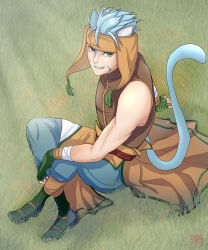 1boy absurdres animal_ears blue_hair cat_boy cat_ears commentary_request fire_emblem fire_emblem:_path_of_radiance green_eyes headdress heterochromia highres kousetu0506 male_focus nintendo on_grass purple_eyes ranulf_(fire_emblem) short_hair sitting solo tail
