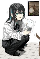 1girl ado_(utaite) black_hair black_pants blue_hair cat cellphone chando_(ado) colored_inner_hair commentary gunjyou_(gunjyou_00) ha-chan_(ado) highres holding holding_phone long_hair lower_teeth_only mole mole_under_eye multicolored_hair open_mouth pants phone reference_inset shirt sidelocks smartphone solo squatting symbol-only_commentary teeth utaite white_shirt