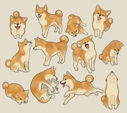 Rule 34 | . ., :3, :d, animal focus, beige background, brown dog, cat, closed eyes, closed mouth, commentary request, dog, facing viewer, from above, from side, grey background, grey cat, ikkaf sk, looking at viewer, looking down, looking up, lying, multiple views, no humans, on side, one eye closed, open mouth, original, shiba inu, simple background, sitting, smile, standing, tail, tongue, tongue out, |d