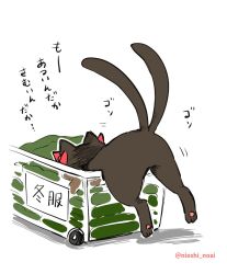 Rule 34 | black cat, bow, box, cat, commentary request, in box, in container, kaenbyou rin, kaenbyou rin (cat), multiple tails, no humans, noai nioshi, red bow, simple background, solo, tail, touhou, translation request, two tails, white background