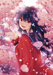 Rule 34 | 1girl, black hair, black sailor collar, brown eyes, cardigan, cherry blossoms, highres, igarashi masakuni, long hair, long sleeves, looking at viewer, looking back, official art, open mouth, outdoors, petals, purple hair, red cardigan, red eyes, sailor collar, senryuu shoujo, shirt, smile, solo, teeth, upper body, waving, white shirt, wind