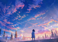 1girl black_hair blue_sky cloud coat commentary evening field fog from_behind highres isobe_toast landscape long_sleeves mountain mountainous_horizon original outdoors pine_tree scenery sky solo standing sunset tree white_coat winter