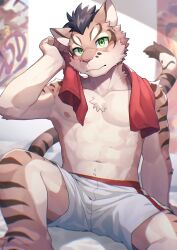 1boy abs animal_ears barefoot cat_boy cat_ears cat_tail claws closed_mouth commentary_request furry furry_male green_eyes highres long_hair male_focus muscular muscular_male navel nekojishi nipples pawpads pectorals ponzu_tas shorts shu_chi_(nekojishi) sitting tail topless_male towel towel_around_neck wavy_hair white_shorts