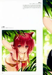 Rule 34 | 1girl, absurdres, amazuyu tatsuki, animal print, bare shoulders, bikini, breasts, brown hair, cleavage, collarbone, day, female focus, halterneck, heart, heart o-ring, heart ring top, highres, kousaka tamaki, large breasts, leaning forward, leopard print, looking at viewer, navel, o-ring, official art, outdoors, page number, red hair, scan, shiny skin, sidelocks, smile, solo, swimsuit, to heart (series), to heart 2