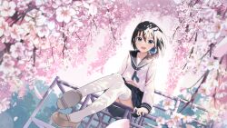 1girl :d black_hair black_sailor_collar black_skirt blue_eyes blue_neckerchief branch brown_shoes cac_itinose cherry_blossoms commentary_request day flower hair_between_eyes highres jungle_gym loafers long_sleeves looking_at_viewer midriff_peek navel neckerchief open_mouth original outdoors pleated_skirt puffy_long_sleeves puffy_sleeves sailor_collar school_uniform serafuku shirt shoe_soles shoes skirt sky smile solo thighhighs white_flower white_shirt white_thighhighs