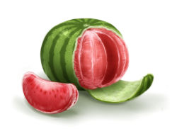 Rule 34 | ao usagi, cosplay, food, food focus, fruit, fusion, hybrid, mandarin orange, no humans, original, simple background, watermelon, what, white background