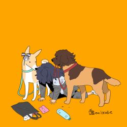 Rule 34 | 1girl, animal ears, animalization, black hair, bottle, bow, character request, commentary request, dog, ear bow, full body, holding own leash, horse ears, horse girl, horse tail, leash in mouth, onikobe rin, orange background, simple background, solo, striped bow, tail, umamusume, water bottle, white bow