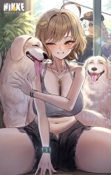 1girl absurdres ahoge animal anis_(nikke) black_shorts blurry blush bokeh breasts brown_eyes brown_hair cleavage collarbone commentary_request depth_of_field dog goddess_of_victory:_nikke grey_sports_bra half-closed_eye highres large_breasts looking_to_the_side navel open_fly plant poli_(nikke) potted_plant rossy_(yowayowachimpo) saliva saliva_trail short_hair shorts sitting smartwatch smile sports_bra stomach thighs tongue tongue_out watch wristwatch