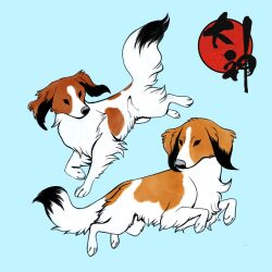 Rule 34 | 2024, animal focus, black eyes, blue background, brown fur, closed mouth, dog, fluffy, highres, kooikerhondje, mexicanine, no humans, ookami (game), white fur