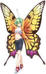 1girl antennae artist_request bike_shorts blush breasts butterfly_girl chitin compound_eyes crop_top extra_arms flare_(monster_musume) full_body game_cg green_hair hair_intakes insect_wings looking_at_viewer medium_breasts medium_hair midriff monster_musume_no_iru_nichijou monster_musume_no_iru_nichijou_online navel official_art red_footwear shoes smile sneakers tachi-e tank_top transparent_background white_tank_top wings yellow_eyes
